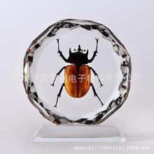 社交媒體助力JJ捕魚租號炮商擴大市場影響力的策略解析