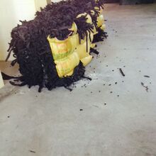 選擇JJ租號讓玩家享受專業級游戲保障與品質服務