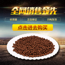 超越傳統游戲方式JJ金幣時租號金商創造全新游戲體驗