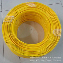 闖入漁業世界揭秘JJ捕魚商人的成功商業模式