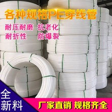 探索JJ金典捕魚租號商家帶來的輕松游戲體驗與樂趣