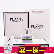 打牌租號隱藏風險大揭露玩家應對技巧全解析