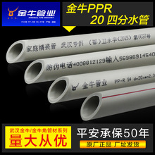 深度解讀JJ金幣回收價格表稀有金幣市場回收價值變化